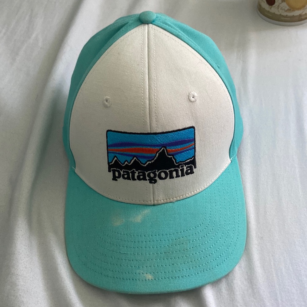 Patagonia hat